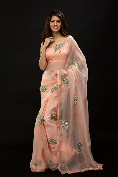 Dreamy Canopy Saree