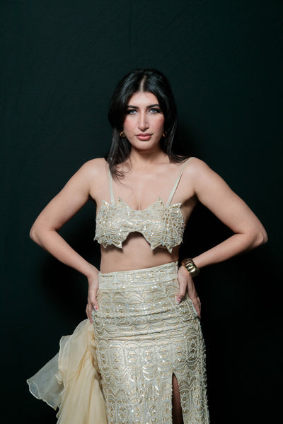 Sequin Embroidered Slit Skirt with Organza Blouse