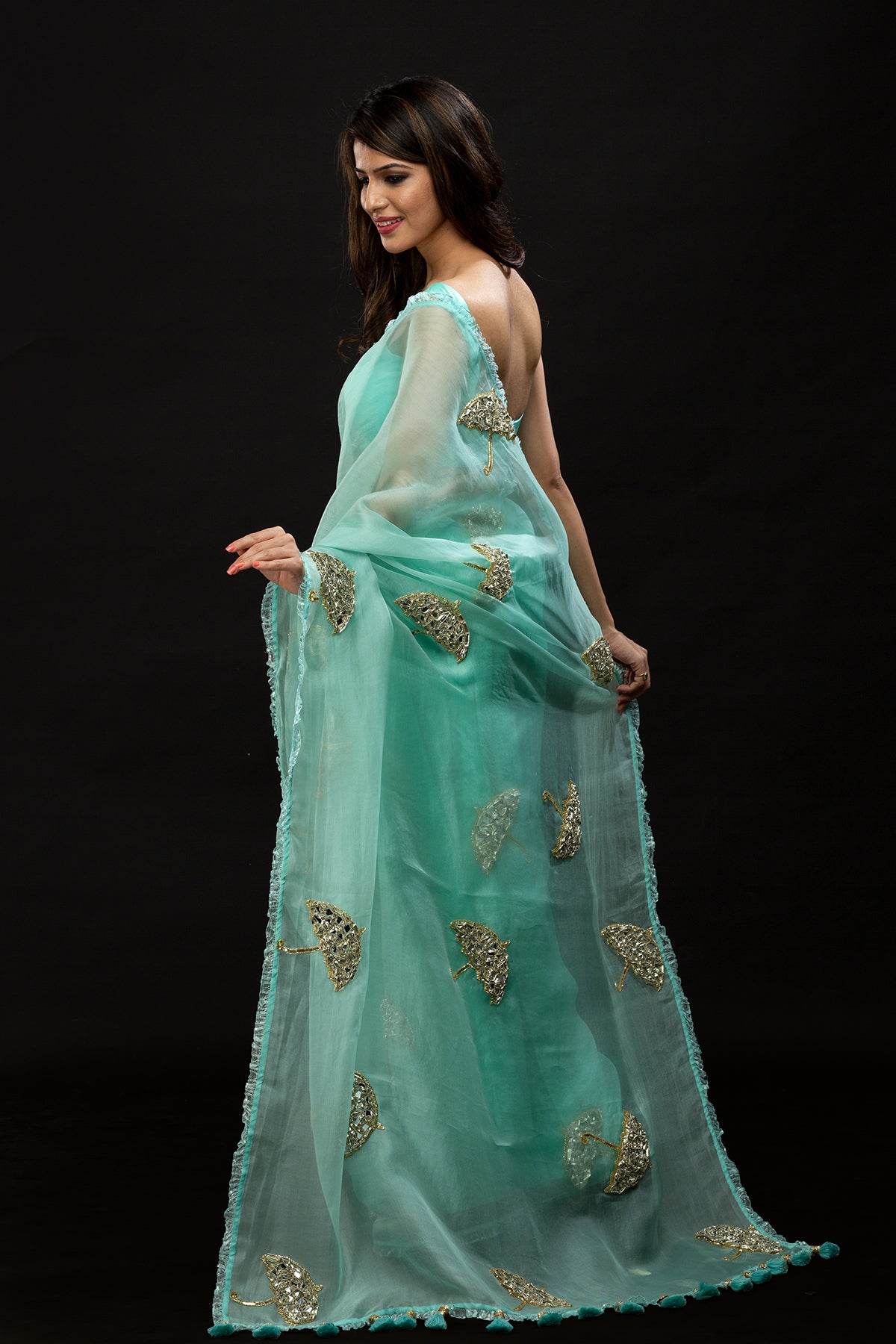 Dreamy Canopy Saree