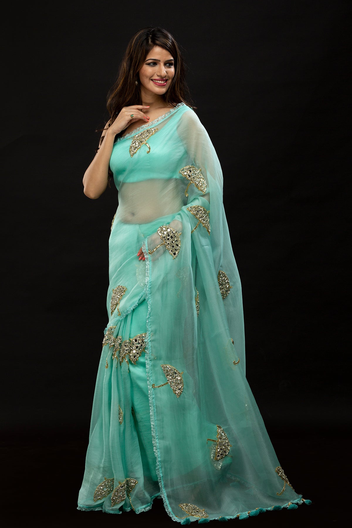 Dreamy Canopy Saree