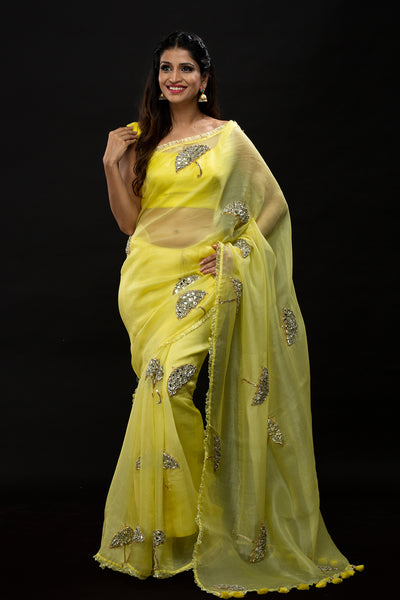 Dreamy Canopy Saree