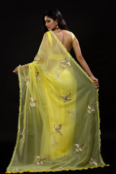 Avian Grace Saree