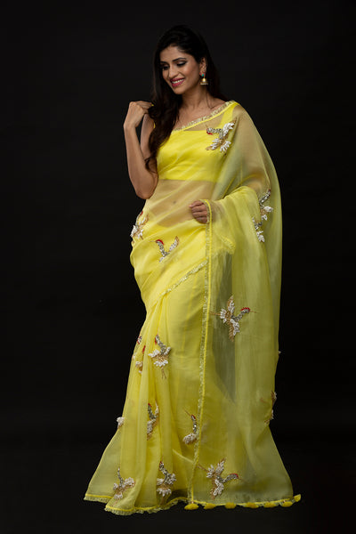 Avian Grace Saree