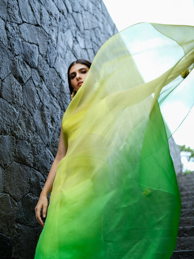 Green Mist Saree