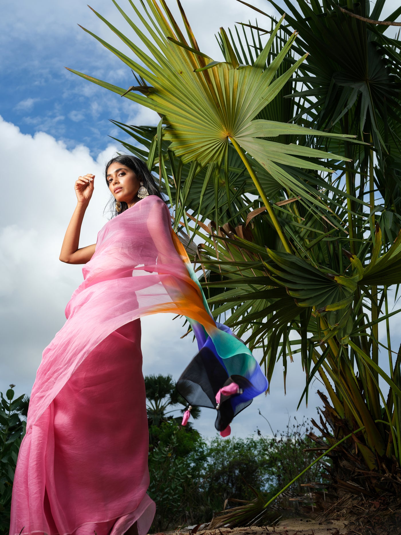 Pink Berry Saree
