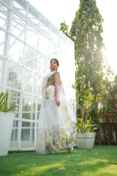 Floral Orchestra Foil Saree