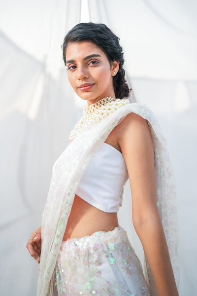Multicolour Lustrous Sequin Saree