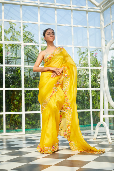 Didivi Embroidered Saree