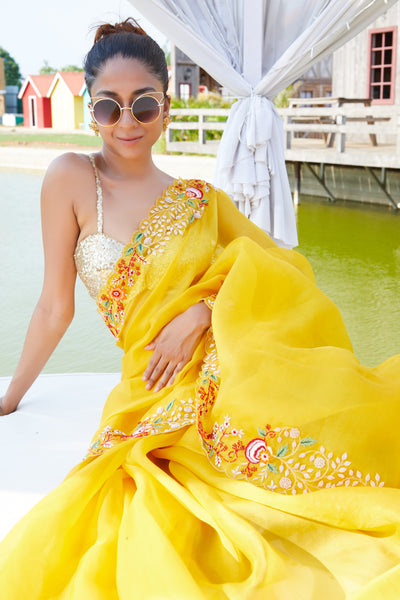 Didivi Embroidered Saree
