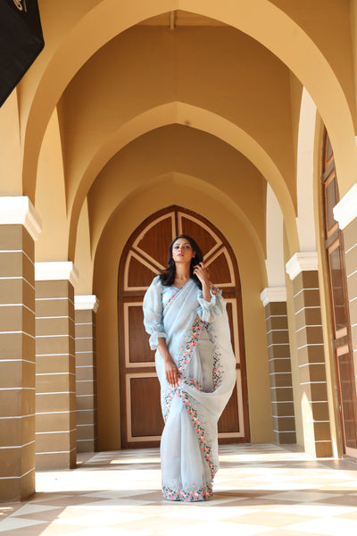 Divi Embroidered Saree