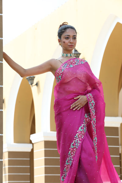 Ekani Embroidered Saree