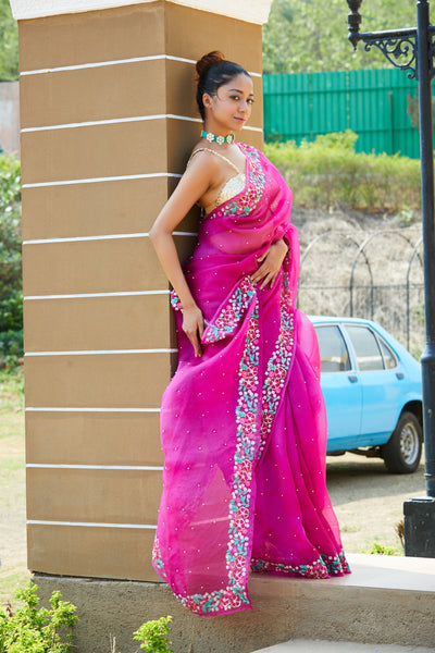 Ekani Embroidered Saree