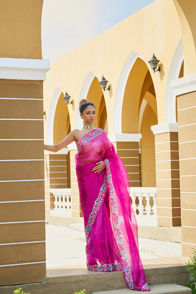 Ekani Embroidered Saree