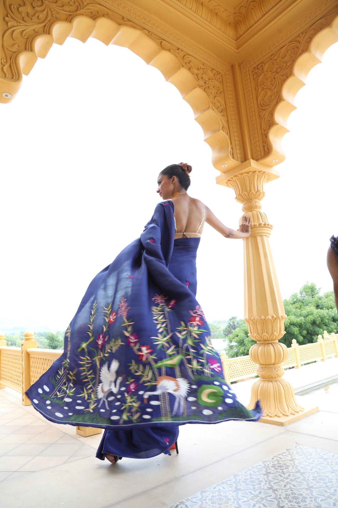 Elina Embroidered Saree
