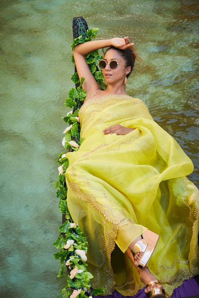 Gini Embroidered Saree
