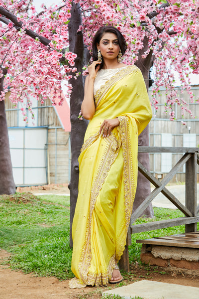 Habi Embroidered Saree