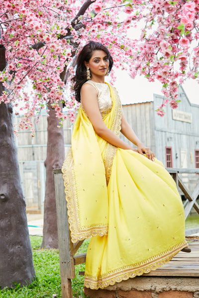 Habi Embroidered Saree