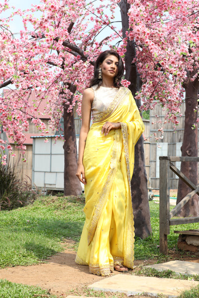 Habi Embroidered Saree