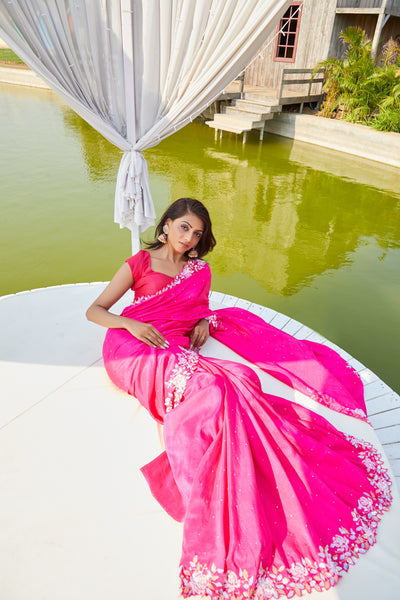 Keva Embroidered Saree