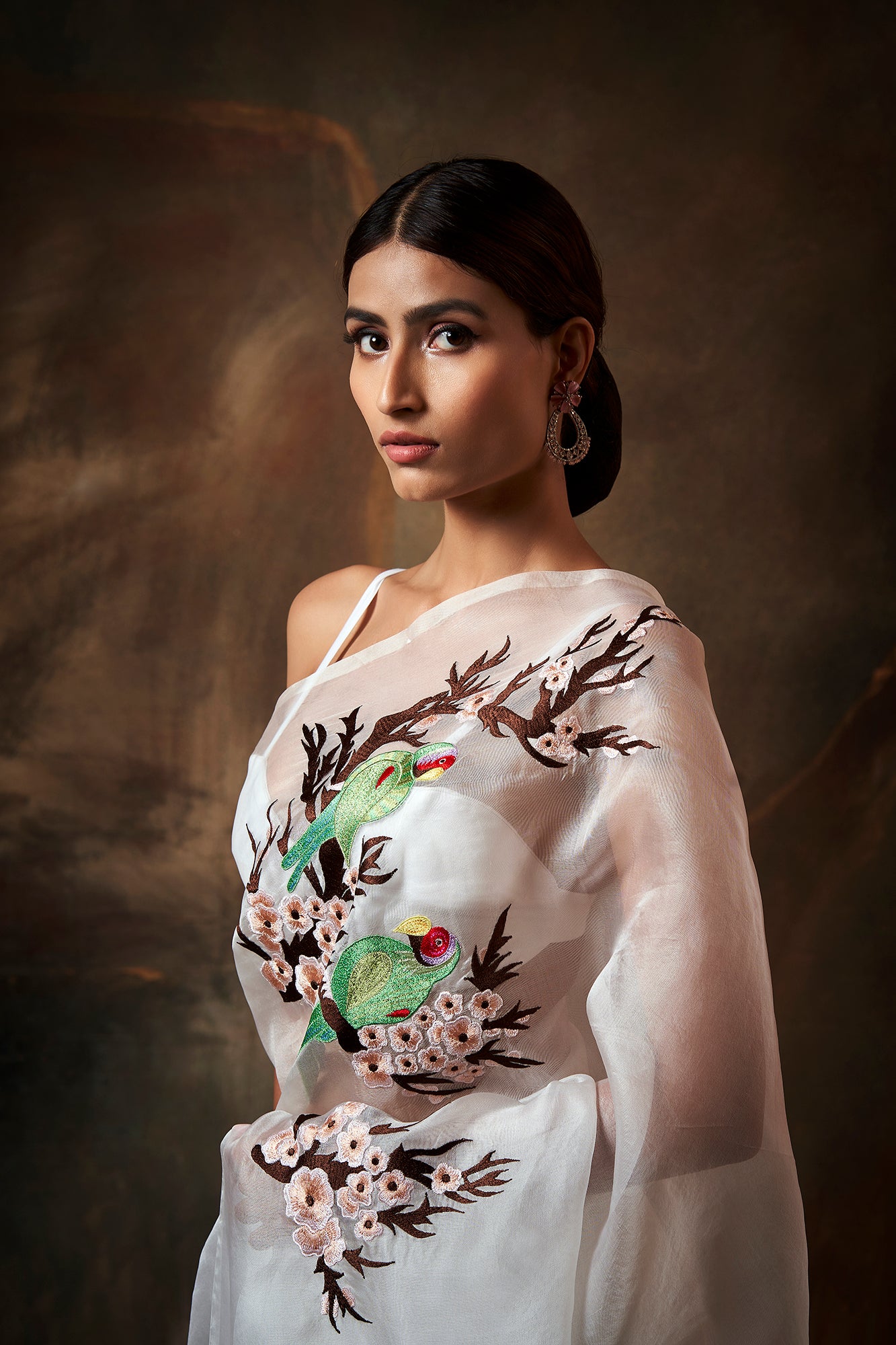 Avian Embroidered Saree