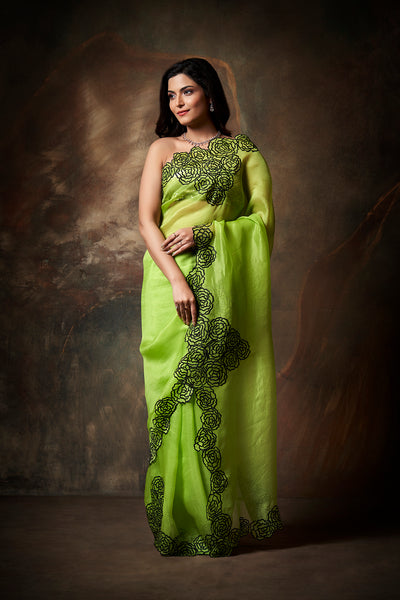 Amara Embroidered Saree