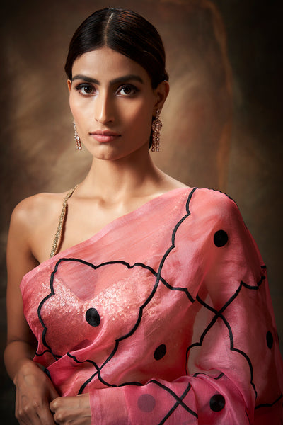 Charme Embroidered Saree
