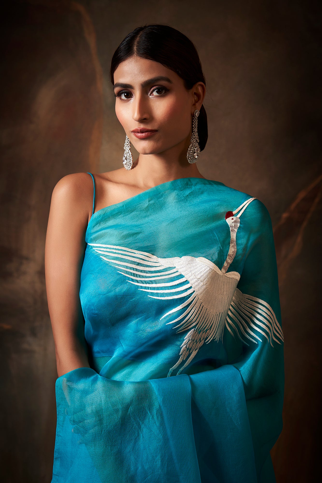 Bella Embroidered Saree
