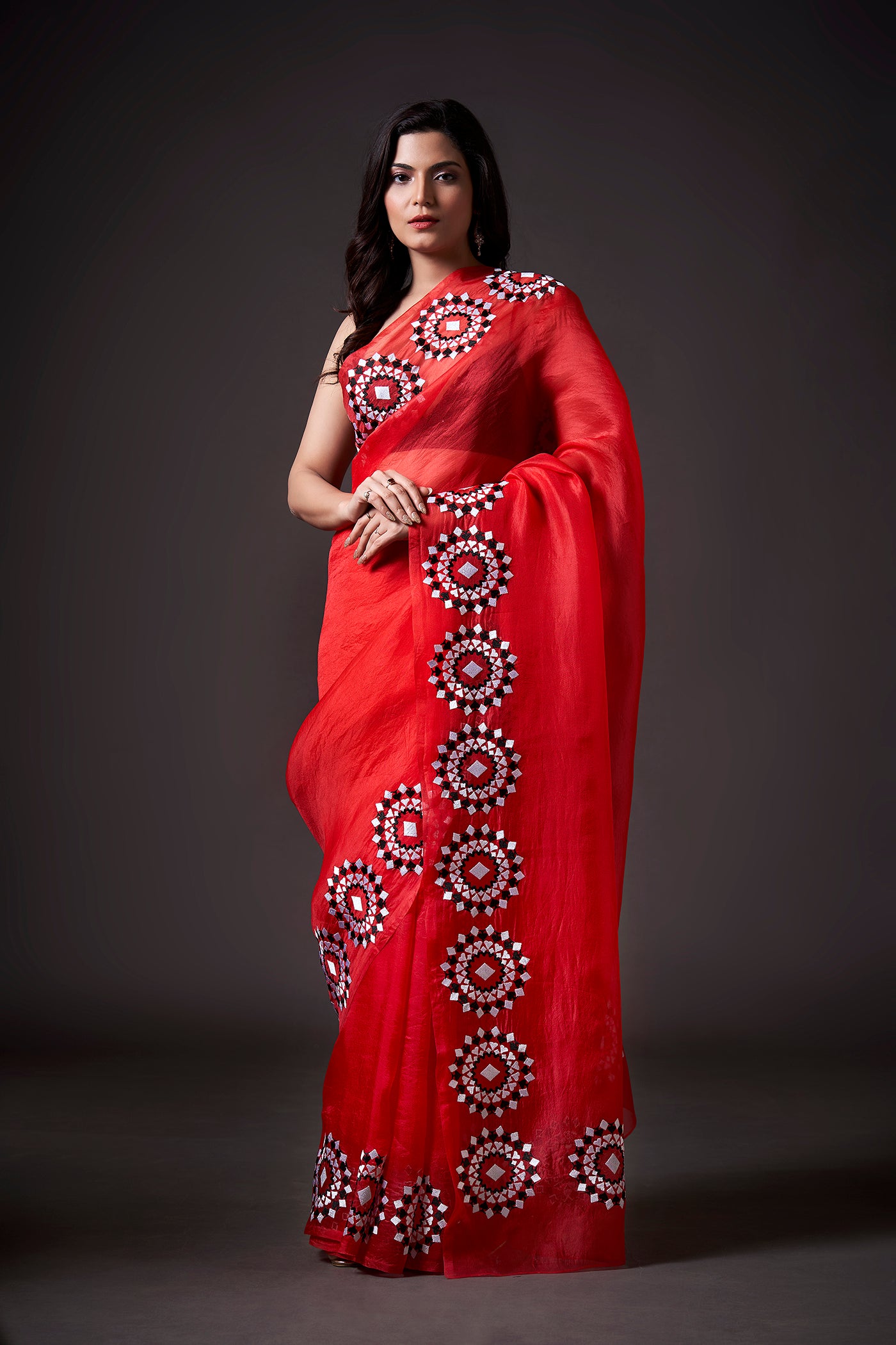 Diamond Embroidered Saree