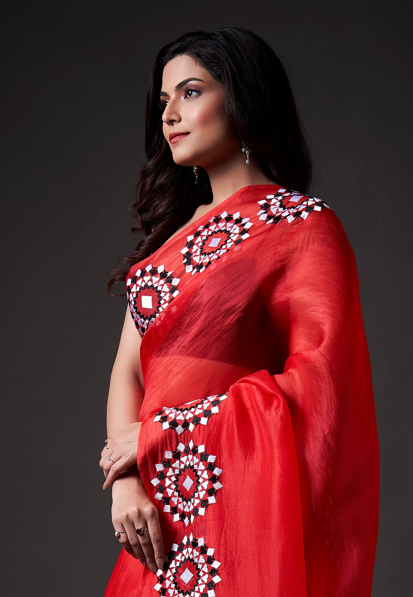 Diamond Embroidered Saree