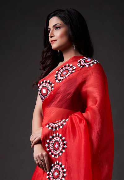 Diamond Embroidered Saree