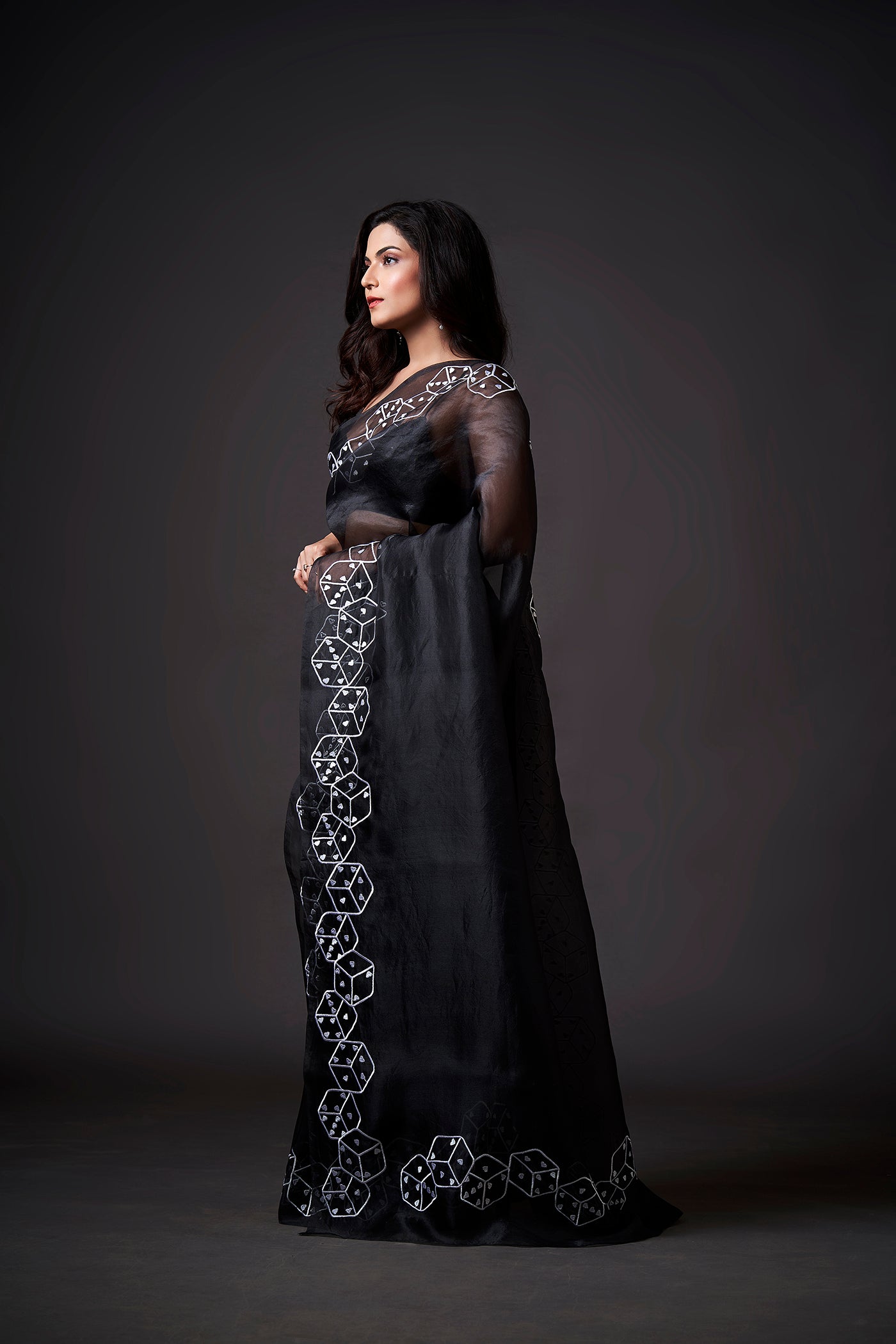 Mystery Dice Embroidered Saree