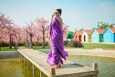 Zue Embroidered Saree