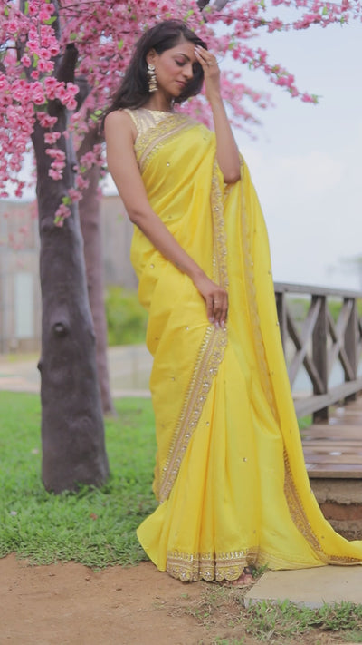 Habi Embroidered Saree