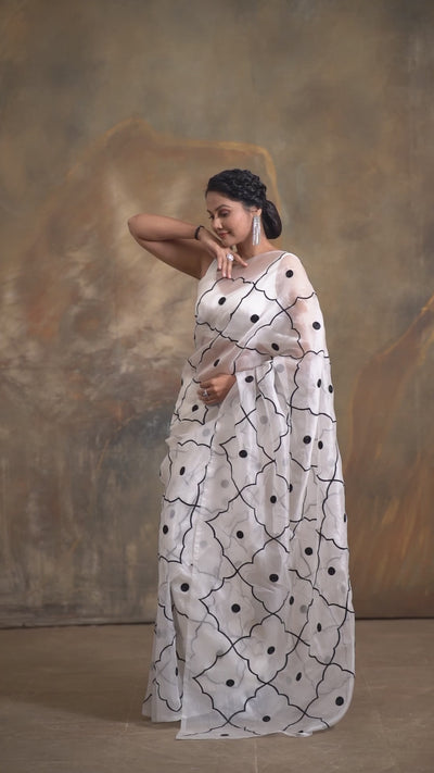 Aria Embroidered Saree