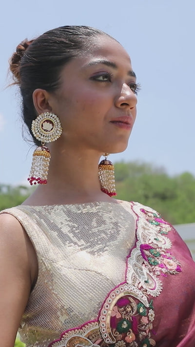 Biva Embroidered Saree